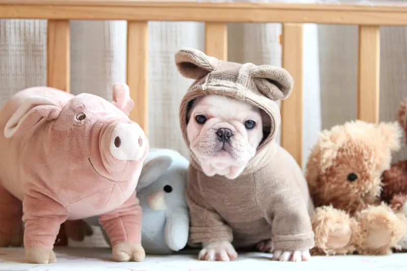 'Not My Fault' Baby Bear Pajamas