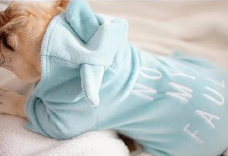 'Not My Fault' Baby Bear Pajamas
