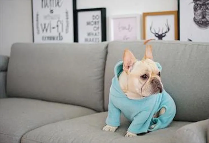 'Not My Fault' Baby Bear Pajamas