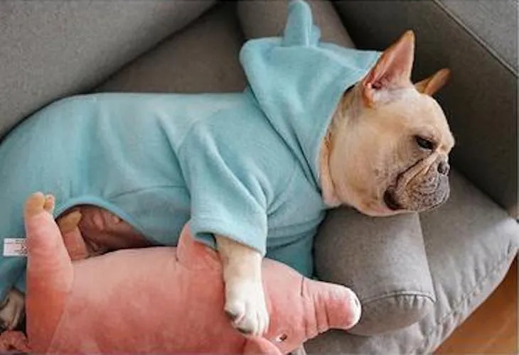'Not My Fault' Baby Bear Pajamas