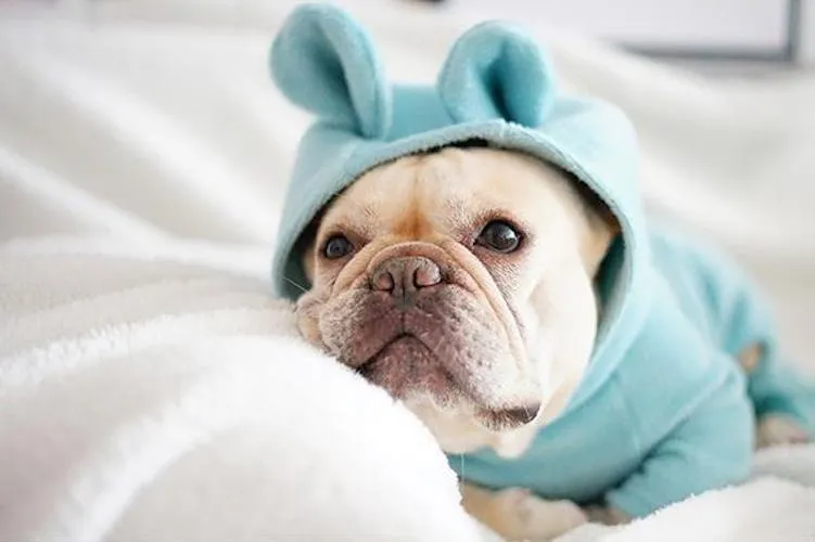 'Not My Fault' Baby Bear Pajamas