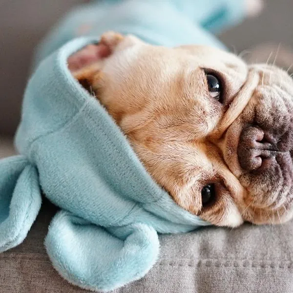 'Not My Fault' Baby Bear Pajamas