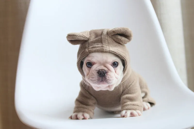 'Not My Fault' Baby Bear Pajamas