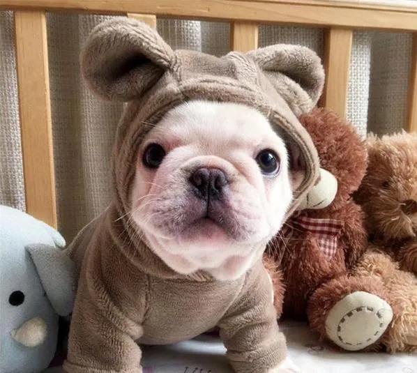 'Not My Fault' Baby Bear Pajamas