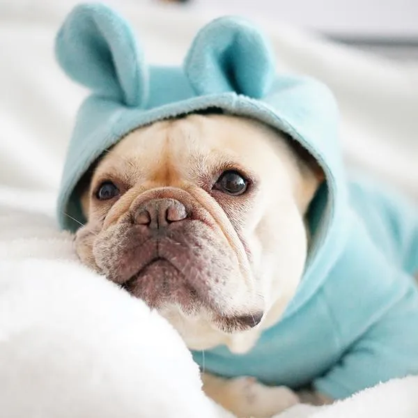 'Not My Fault' Baby Bear Pajamas